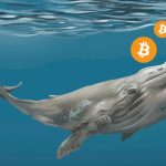 Whale address with more than 11K BTC is activated for the first time in 7 years, and it could be a hack