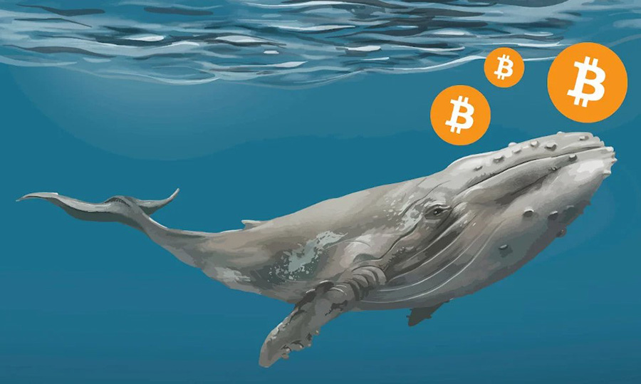 Whale address with more than 11K BTC is activated for the first time in 7 years, and it could be a hack