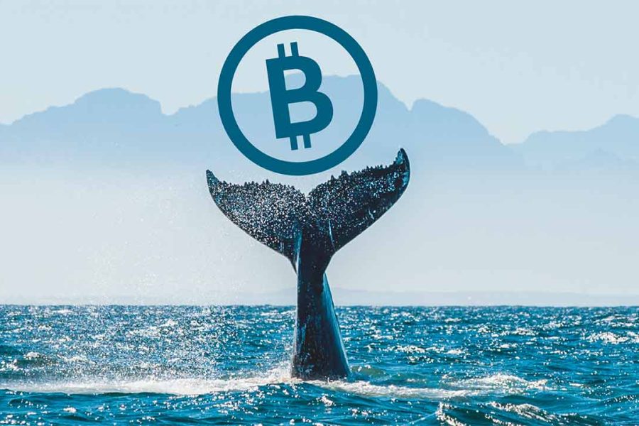 Is there a massive sale of BTC by Bitcoin whales?