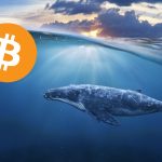 Bitcoin whales seem to accumulate their tokens, while BTC increases its correlation with the S&P 500