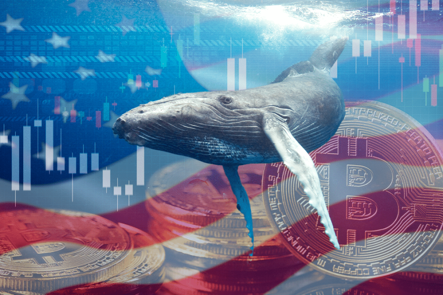 Bitcoin whales introduce liquidity to the market as BTC struggles to stabilize