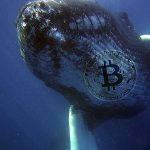 Bitcoin whales mobilize 206,682 BTC in the third week of April