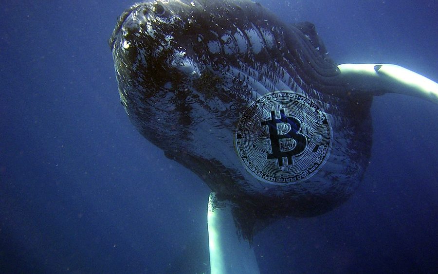 Bitcoin whales mobilize 206,682 BTC in the third week of April